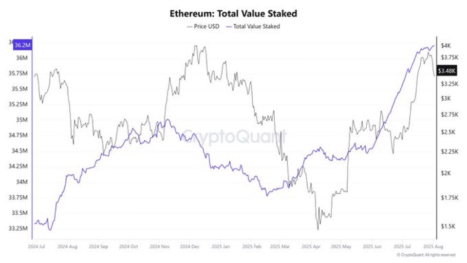 Michael Saviour 👑 🥷 tweet media