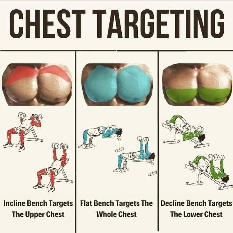 FitnessGuide0's tweet image. Chest Targeting