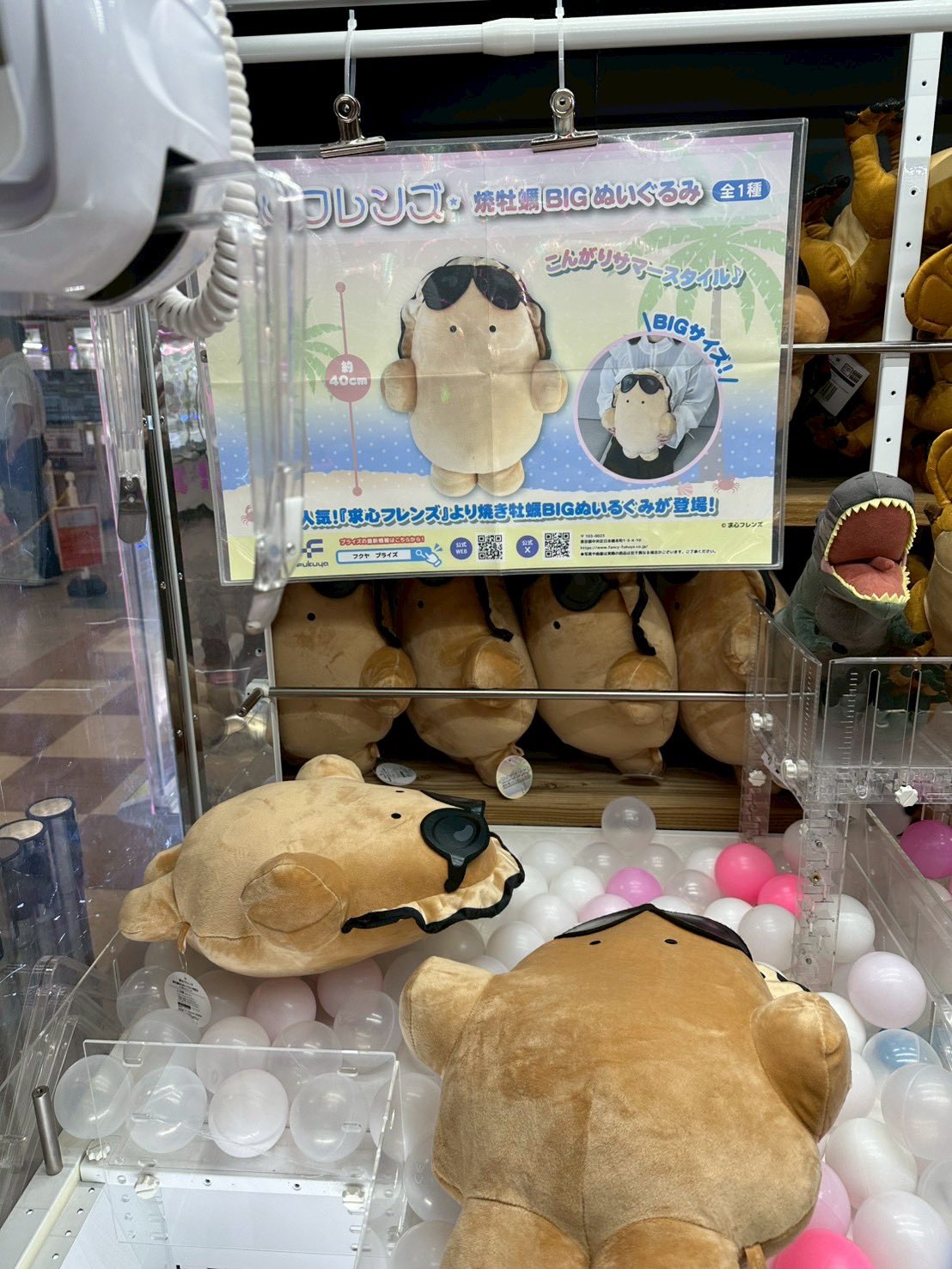 求心フレンズ 焼牡蠣BIGぬいぐるみ 8個セット