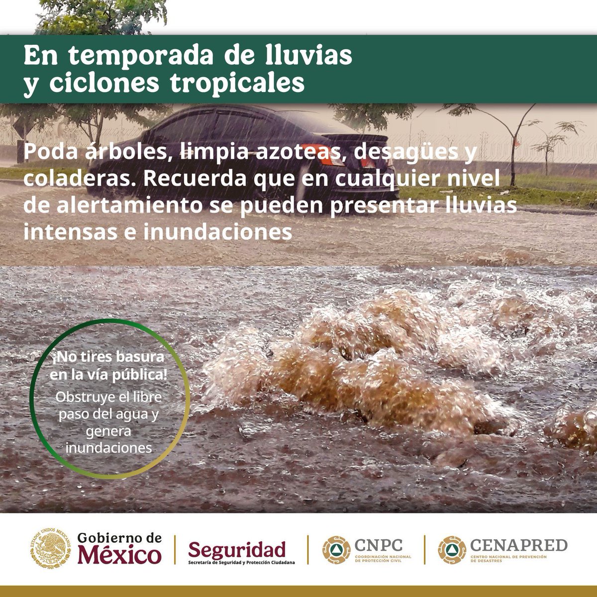 Coordinación Nacional de Protección Civil (@cnpc_mx) on Twitter photo En áreas urbanas 🏙 las #Inundaciones pueden ocurrir por la saturación o falla del sistema de drenaje.
🏡Mantén limpias las áreas verdes en tu hogar
🚰Recolecta el agua pluvial
🚯No tires basura en las calles En áreas urbanas 🏙 las #Inundaciones pueden ocurrir por la saturación o falla del sistema de drenaje.
🏡Mantén limpias las áreas verdes en tu hogar
🚰Recolecta el agua pluvial
🚯No tires basura en las calles