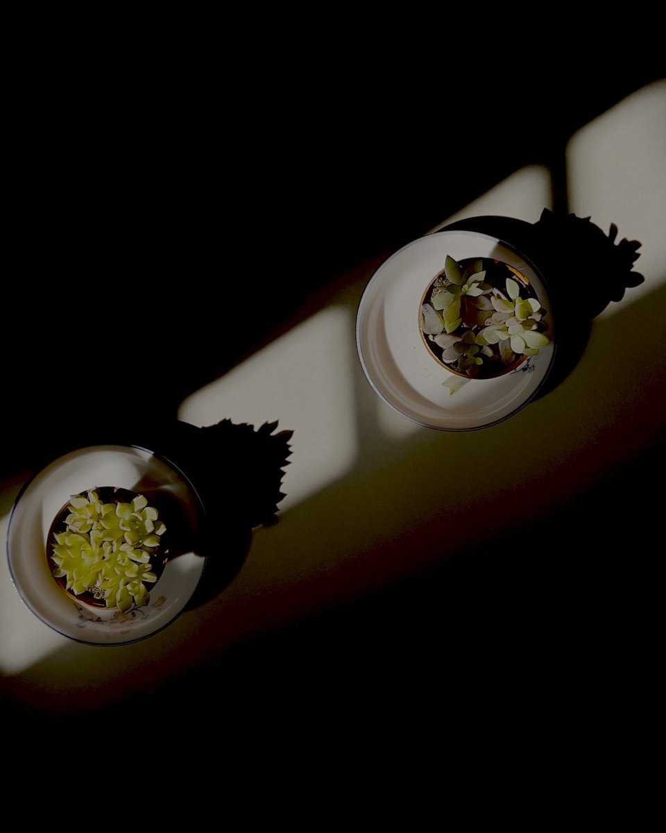 Jay Z/ombie tweet media