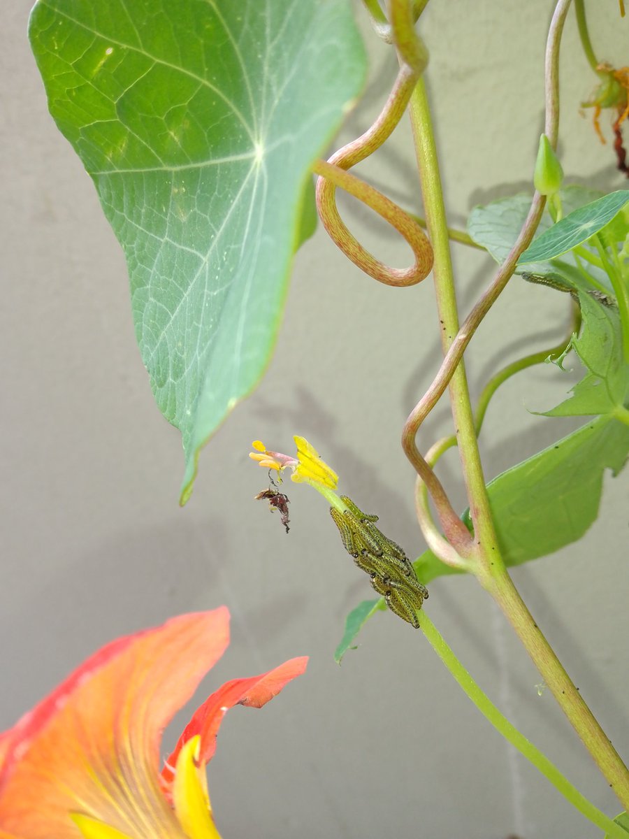 Kalas. Undrar vad det blir.