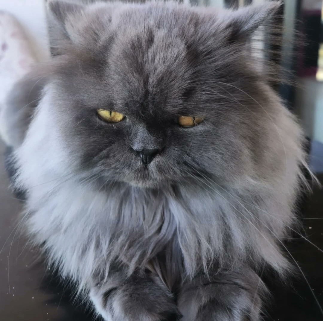 Canım oğluşum.
#dünyakedilergünükutluolsun