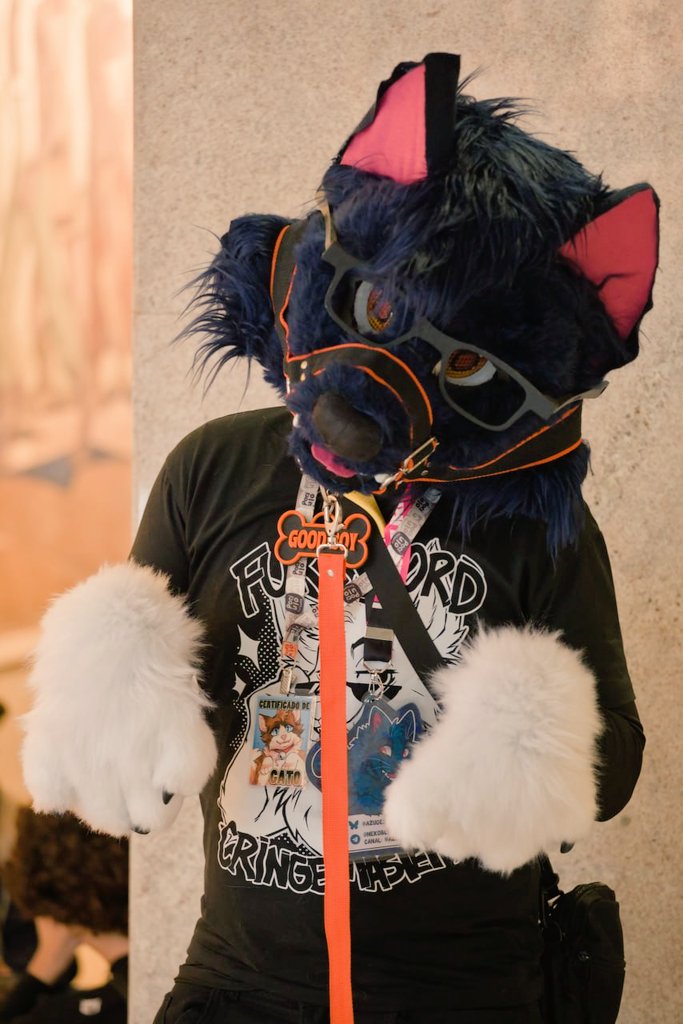 nekofoxxo's tweet photo. Would you take this kitty for walkies? 

#FursuitFriday 

📸: @aceythefox https://t.co/WT0X5ktbMI