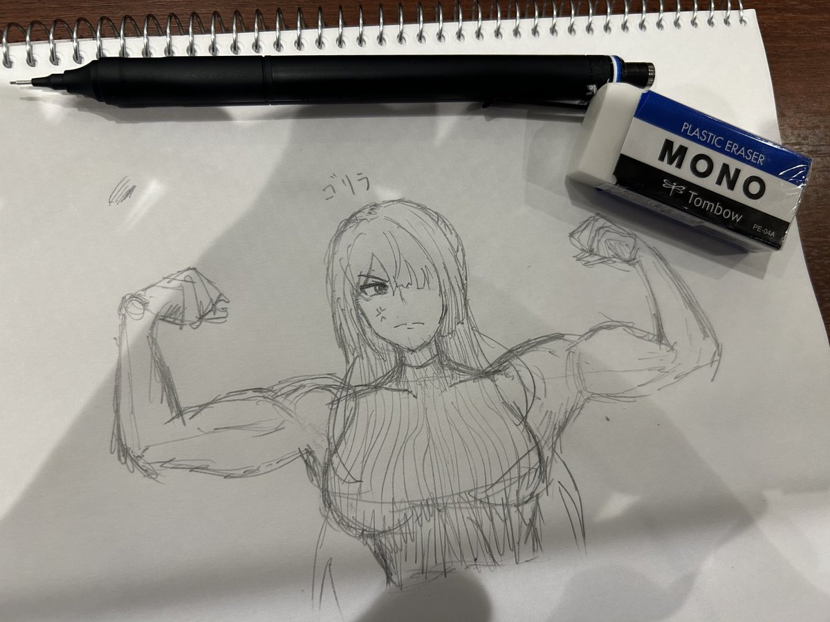 新しく買ったシャーペン描きやすくて気に入った 