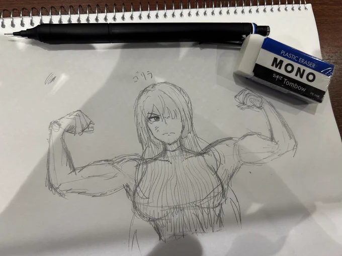 新しく買ったシャーペン描きやすくて気に入った 