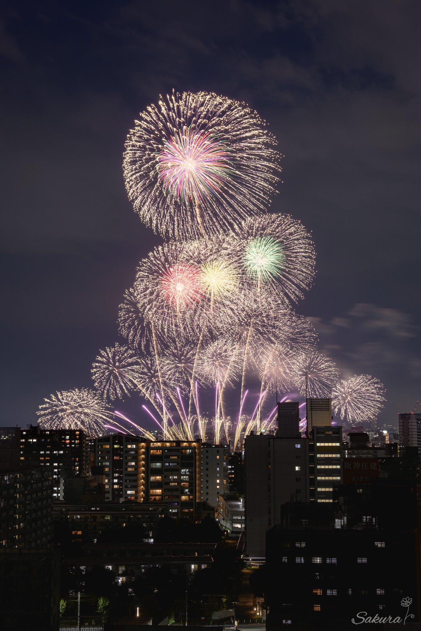 桜 まるっ ❀·°　0226 B11148_1.jpg
