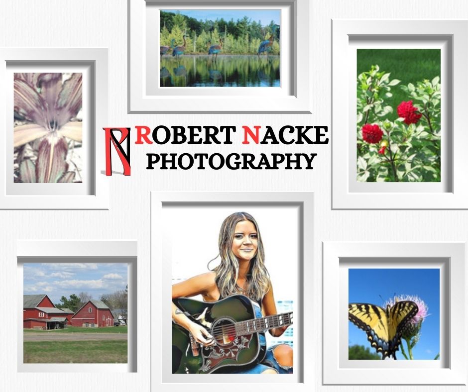 InkCraft Solutions : Where stories meet strategy (@inkcraft_sol) on Twitter photo <a href="/NackeRobert/">Robert Louis Nacke </a>
Step into the world of Robert Nacke. Where nature and emotion meet in art.
From butterflies to serene landscapes, his work brings beauty and calm to any space.
Available as wall prints, pillows, mugs & more.
🖼️ Printed on-demand
🛒 Shop now: fineartamerica.com/profiles/rober… <a href="/NackeRobert/">Robert Louis Nacke </a>
Step into the world of Robert Nacke. Where nature and emotion meet in art.
From butterflies to serene landscapes, his work brings beauty and calm to any space.
Available as wall prints, pillows, mugs & more.
🖼️ Printed on-demand
🛒 Shop now: fineartamerica.com/profiles/rober…