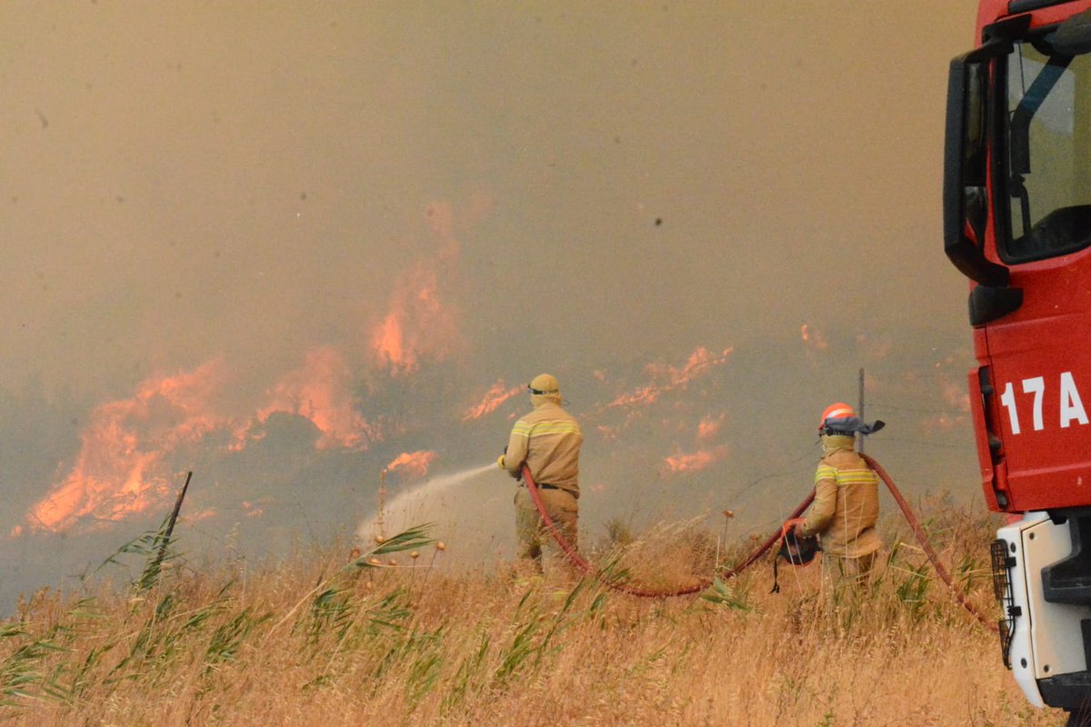 🔥 #Çanakkale / #Merkez / #Bayramiç

8 Uçak
4 Helikopter
46 Arazöz
1 İş Makinesi
272 Personel

Çanakkale Merkez'de ve Bayramiç'te orman dışı alanlarda meydana gelen yangınlara havadan ve karadan müdahale ediyoruz.

Yangınların bir an evvel kontrol altına alınması için mücadelemiz