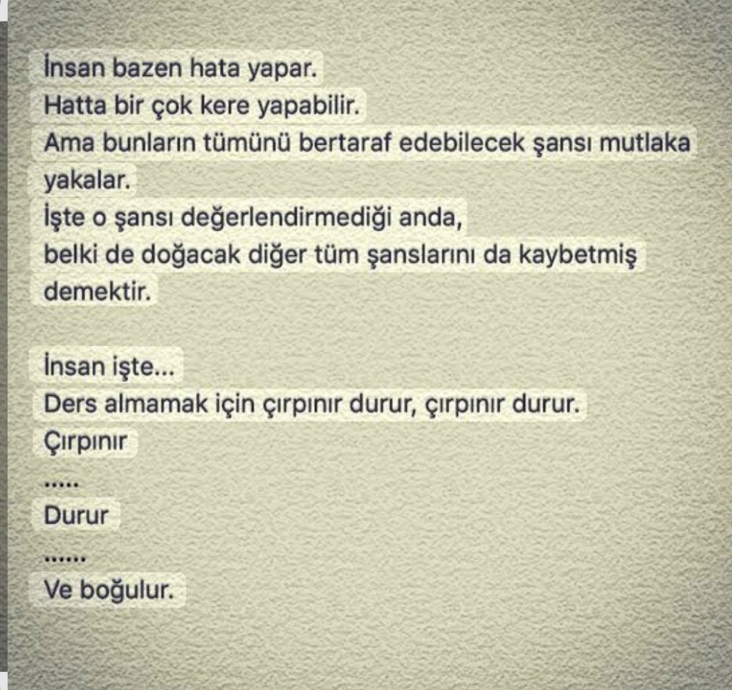 ** 𝓩𝓮𝔂𝓷𝓮𝓫 ** (@kingdomofcatsss) on Twitter photo 