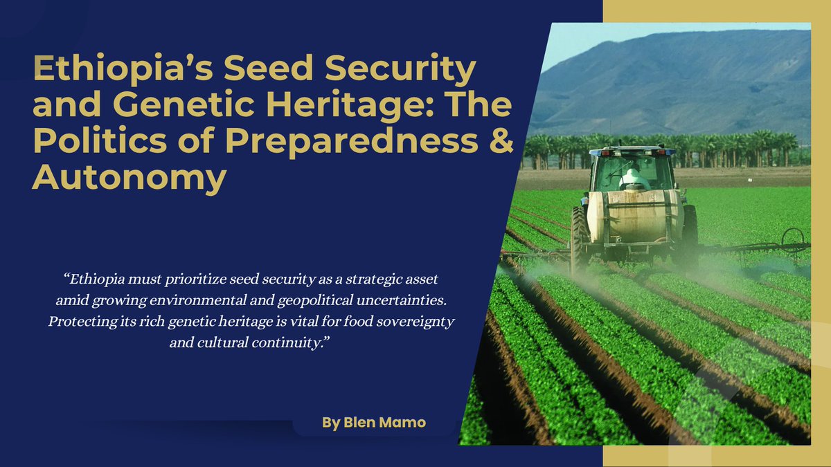Ethiopia's seeds are more than just food; they're a matter of sovereignty and cultural identity. Blen Mamo argues for a fortified national seed vault to protect this vital genetic heritage amid rising global uncertainties. 

Discover how safeguarding seeds can ensure a