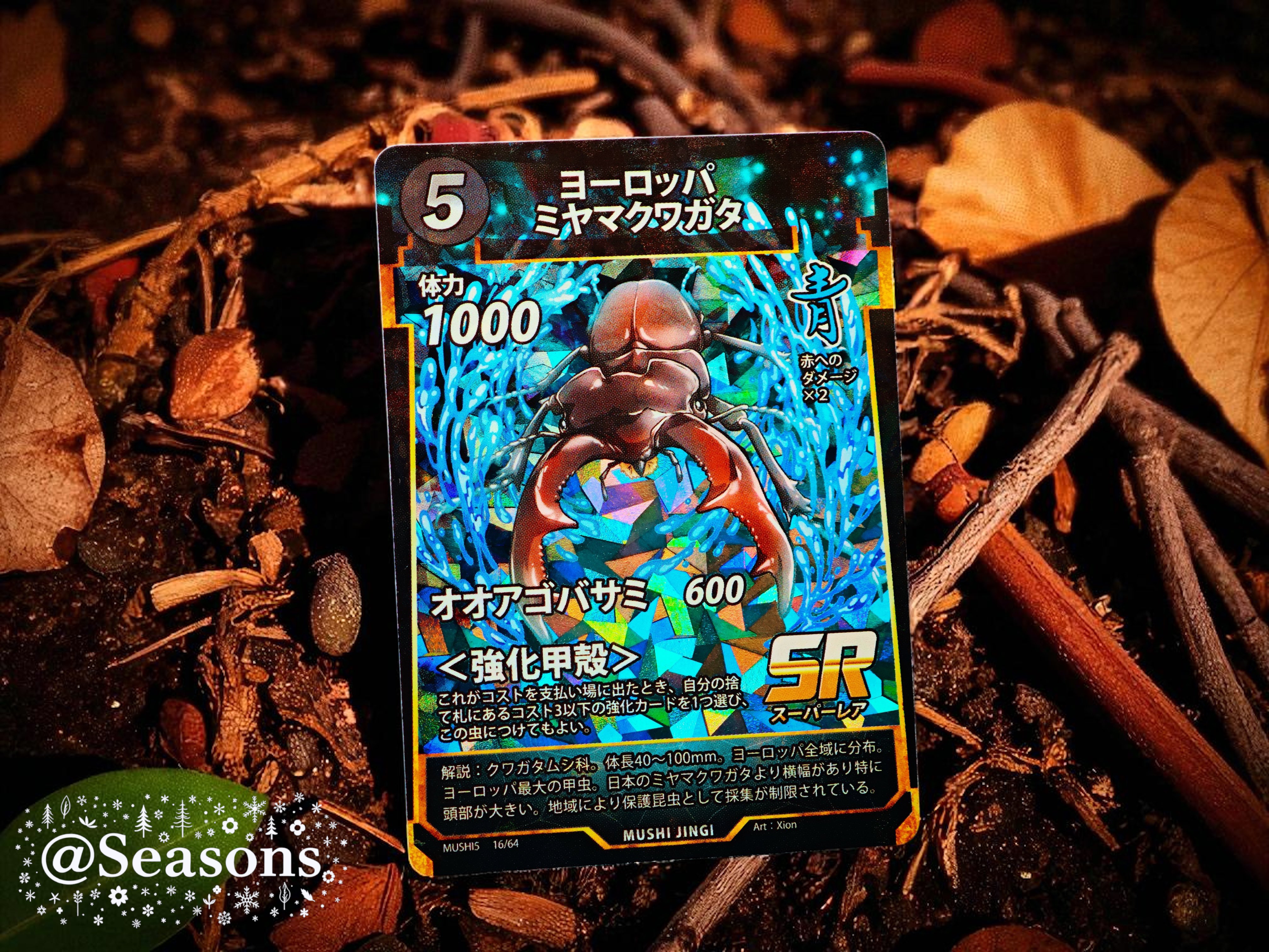 Seasons on X: 