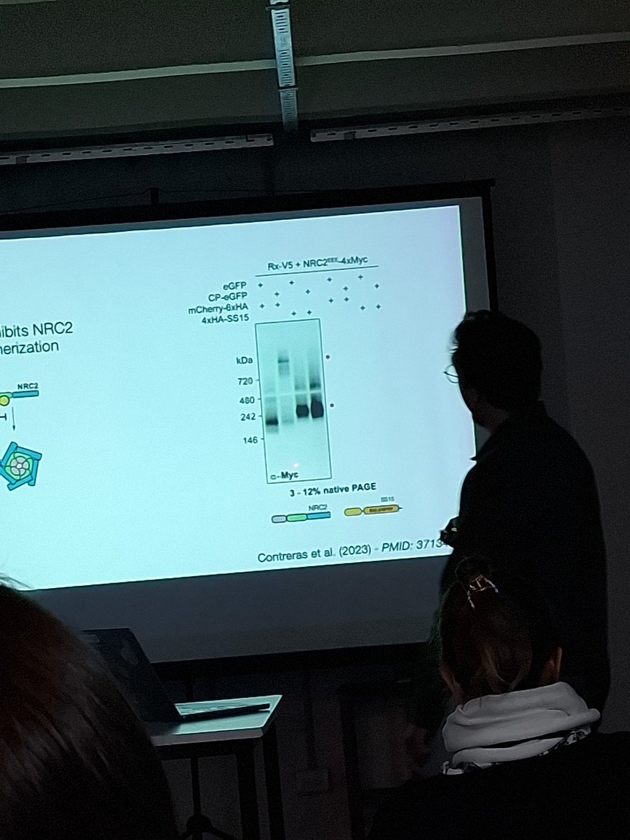 #RAFV2025 <a href="/SocArgFisVeg/">Sociedad Argentina de Fisiología Vegetal</a> <a href="/mpcontreras4/">Mauricio Contreras</a>