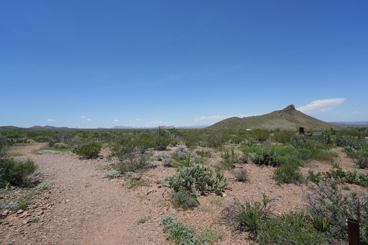 Big Bend National Park, Texas. Worth the drive!! Spectacular vistas, no other cars for hours; sporadic signal and time difference so I have been catching up with <a href="/morninglive/">Morning Live</a> via the podcast.