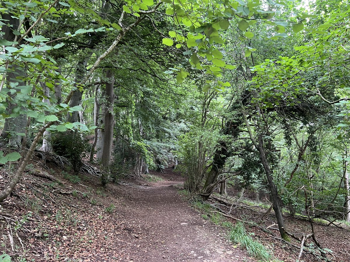 Aan de wandel in Jeremy Clarkson-land 🥰 #Cotswolds