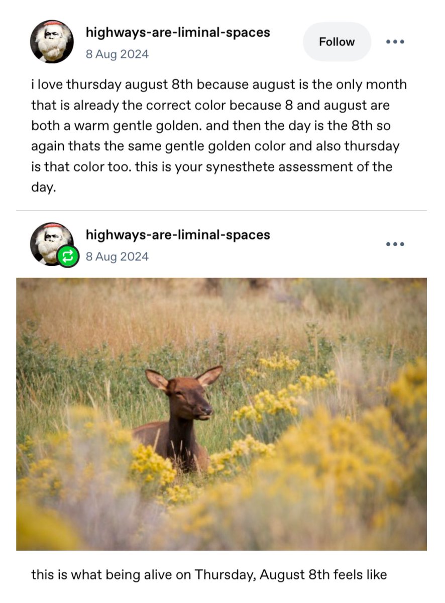 glad to know i’m not the only one who feels like this about august 8th