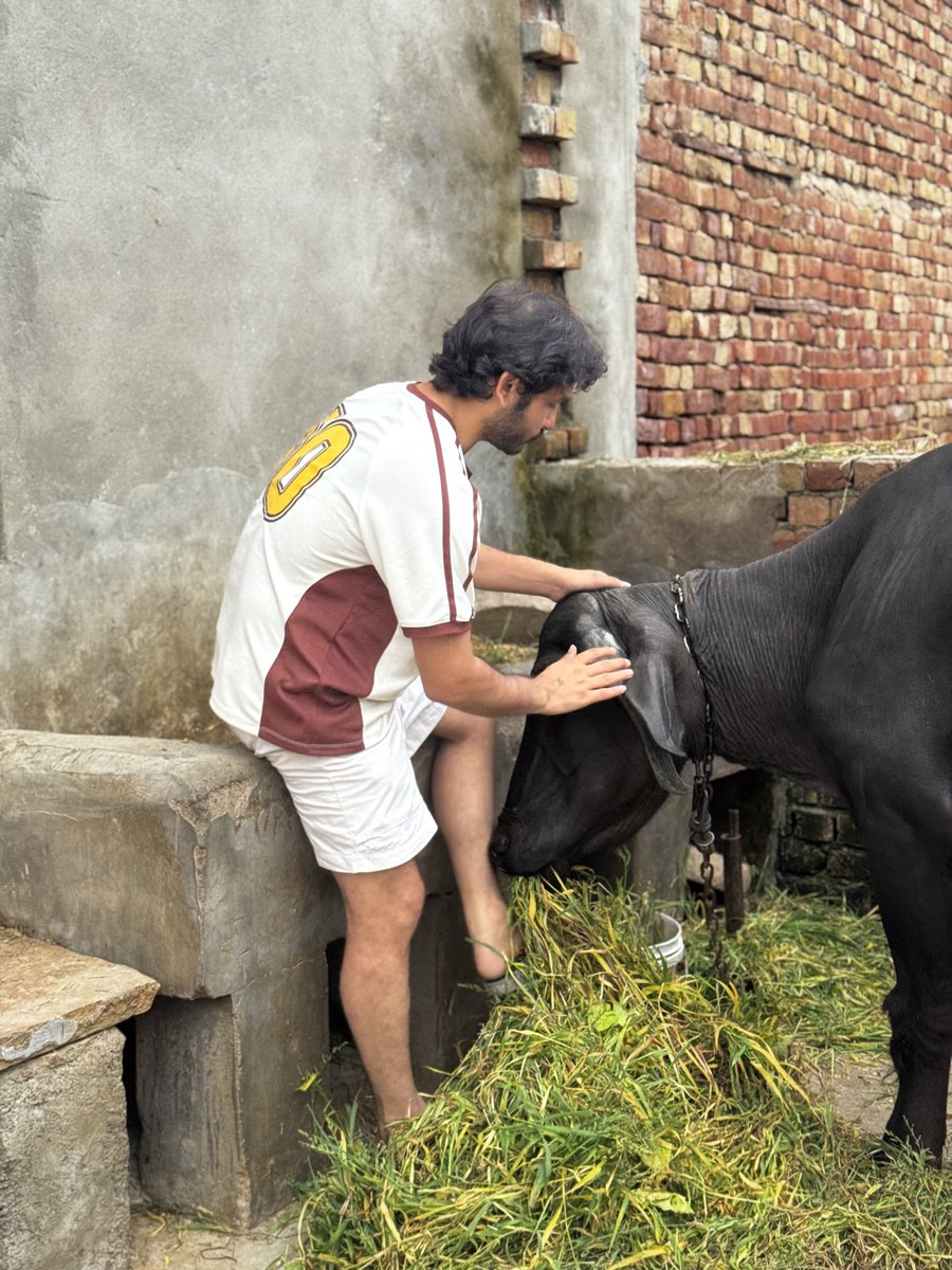 ShyamMeeraSingh's tweet image. भैंस को समझा रहा हूँ कि तुम्हारी वोट चोरी हो गई है।