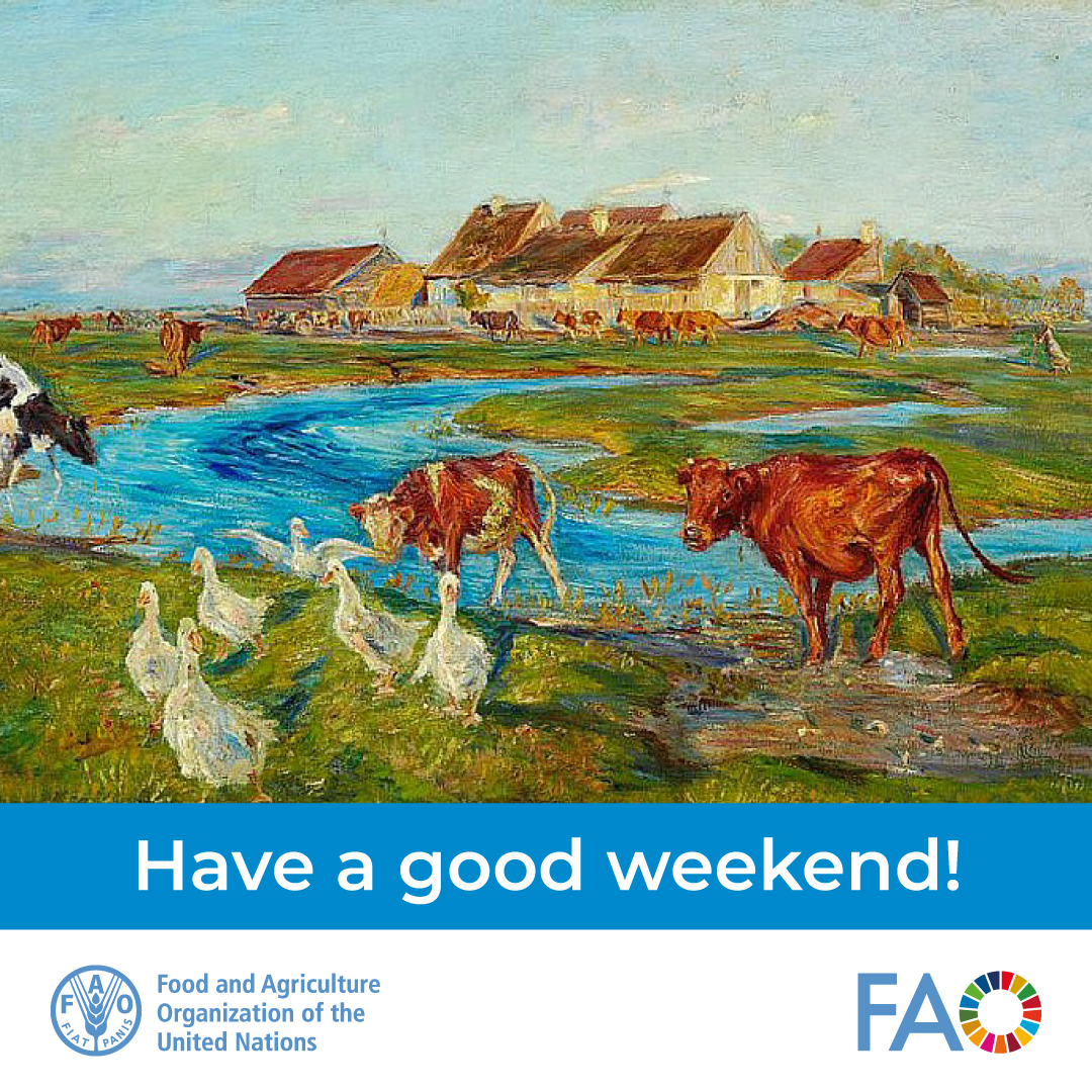 FAO Livestock tweet media