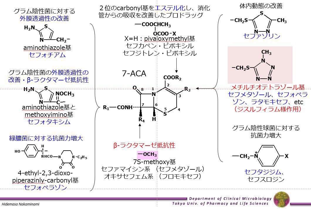 岩山の対峙 Nakaminami, PhD on X