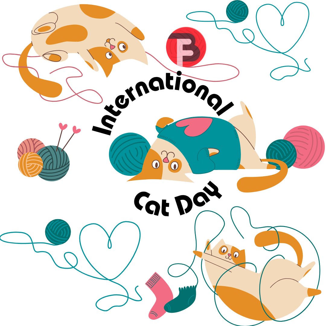 Happy international cat day!