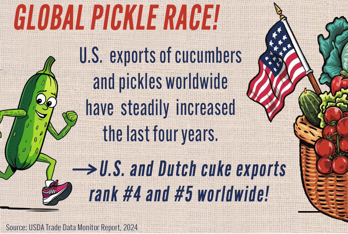usembthehague's tweet photo. It’s #komkommertijd and we have @USDAForeignAg data to prove there’s a big appetite for pickles (and cukes) on both sides of the Atlantic, with U.S. and Dutch global exports ranking #4 and 5! https://t.co/amvmmp8eQA