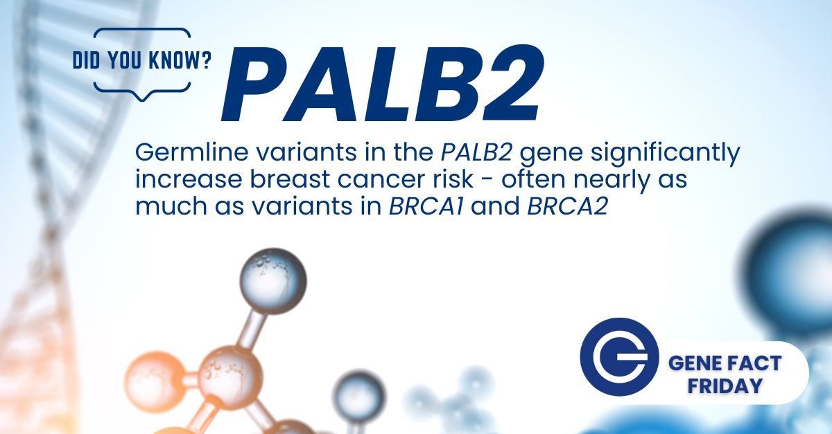 ❔ Did you know? Germline variants in the #PALB2 gene significantly increase breast cancer risk - often nearly as much as variants in #BRCA1 and #BRCA2. 

Explore the most comprehensive, curated PALB2 data available - completely free in Mastermind! mastermind.genomenon.com/users/sign_up/…