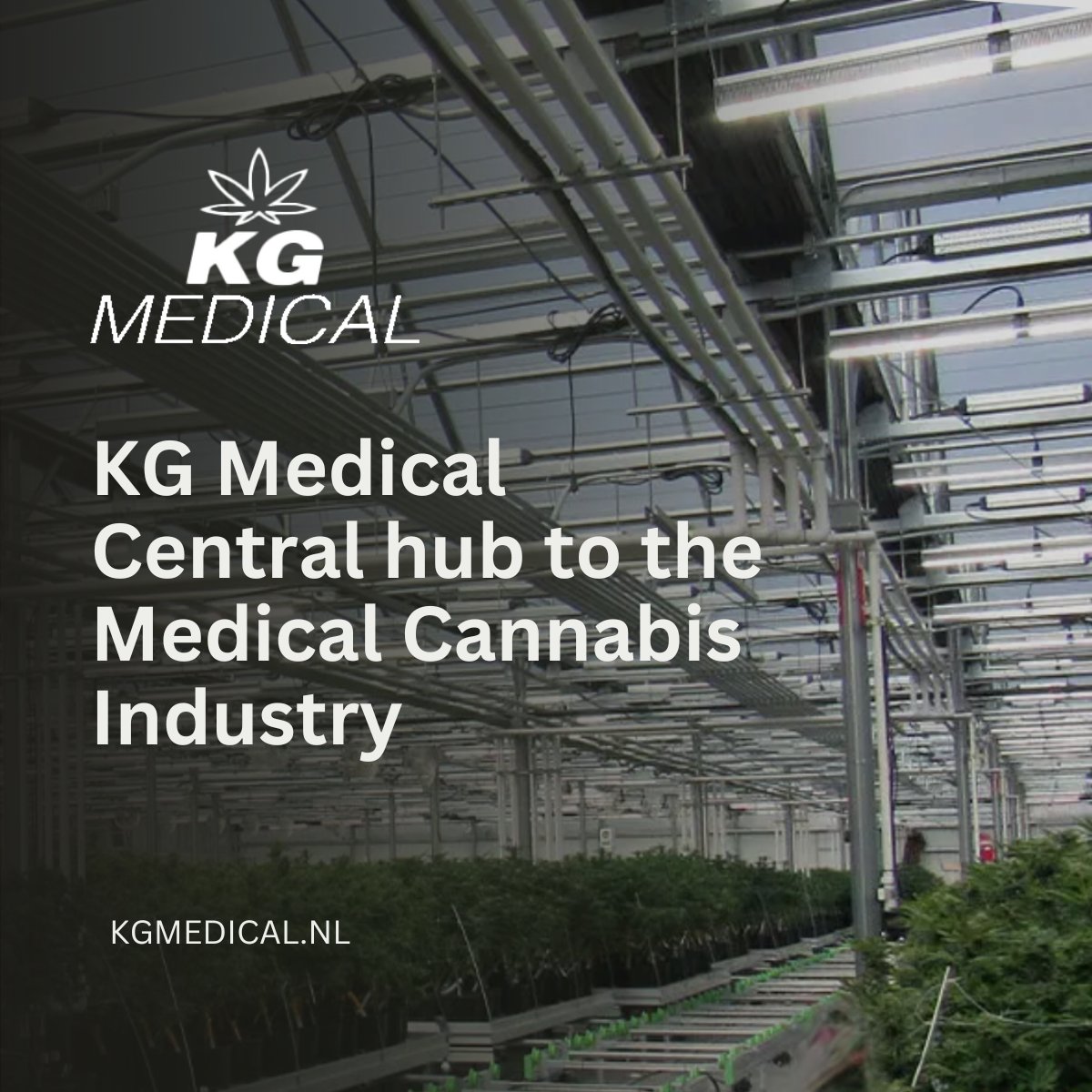 🌿 KG Medical: The Central Hub of the Medical Cannabis Industry 🌿
For investors who are looking for investment opportunities in existing projects, or develop a complete new facility, KG is a central hub.
#MedicalCannabis #CannabisInvestment #GreenhouseEngineering #KGMedical