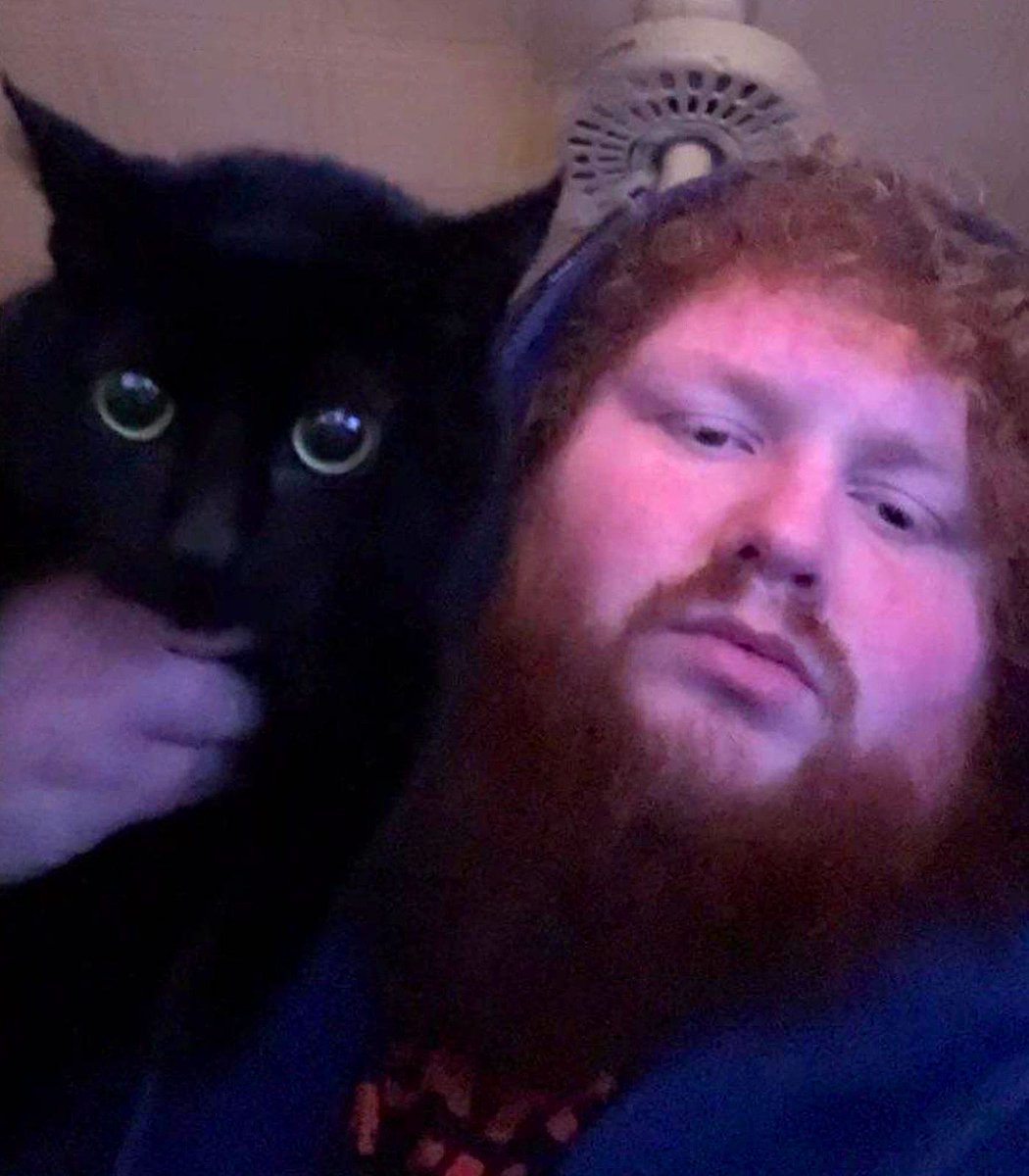 August 8th is International Cat Day