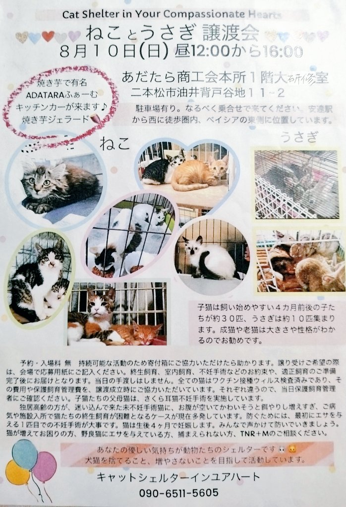 りょうにゃん♡ (@ryonyan_003) / Posts / X