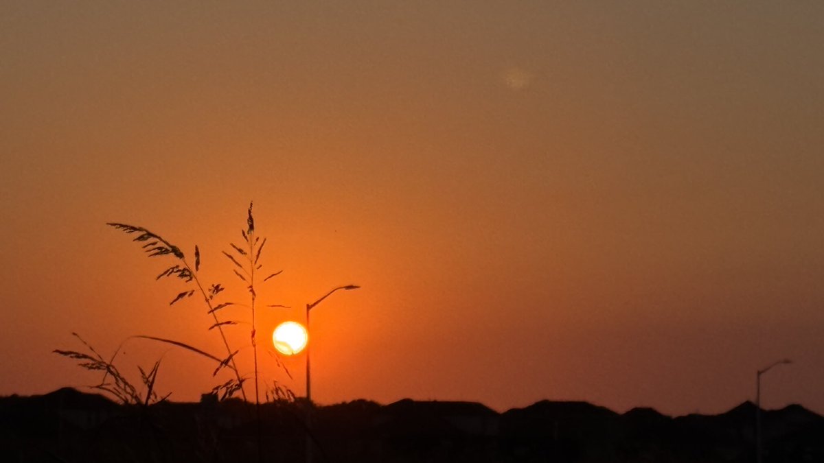 sudha_m_reddy's tweet image. Nature’s own pest control 
A spider 🕷️ spun a web🕸️ between a bridge overnite. @ sunrise 🌅 the web was filled with flies…
Wonders of nature…
