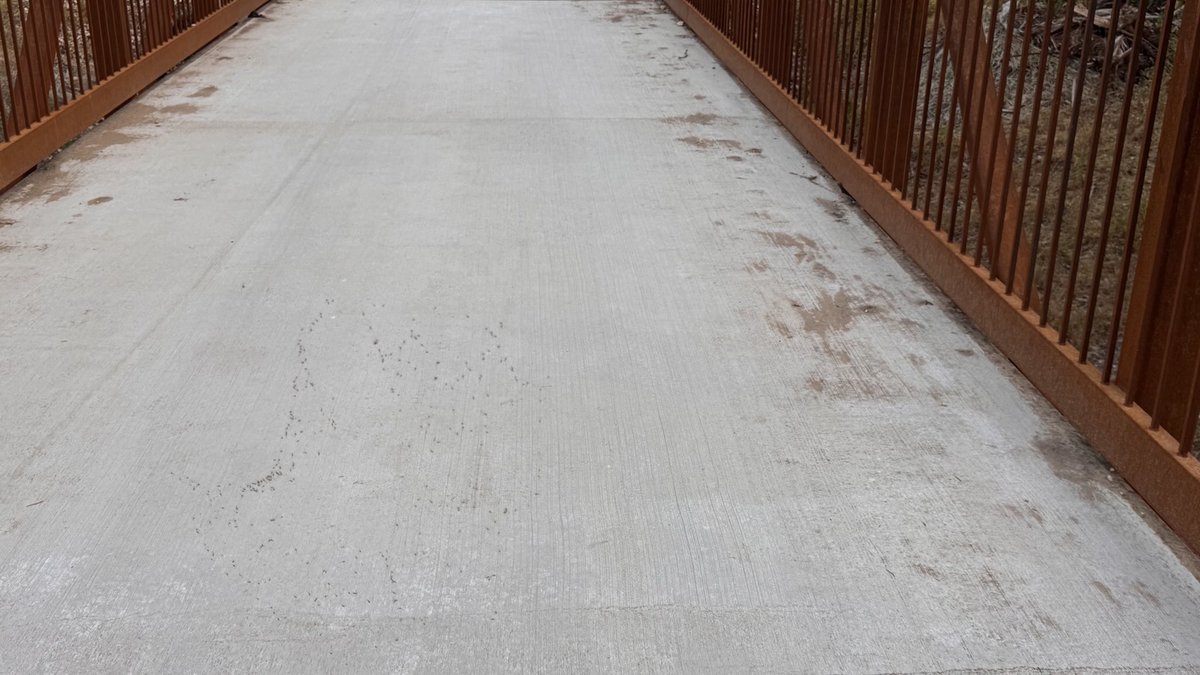 sudha_m_reddy's tweet image. Nature’s own pest control 
A spider 🕷️ spun a web🕸️ between a bridge overnite. @ sunrise 🌅 the web was filled with flies…
Wonders of nature…