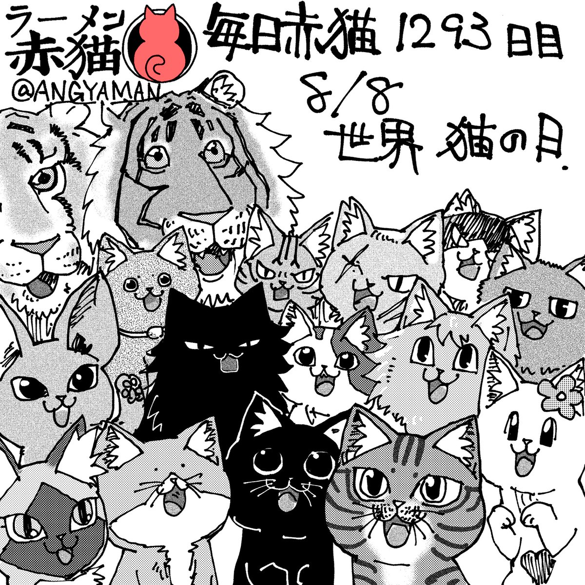 ポチオ様♡確認page☆ステラルー ⭐︎お知らせ⭐︎】イラストレーター森倉円様がオリジナルで描き