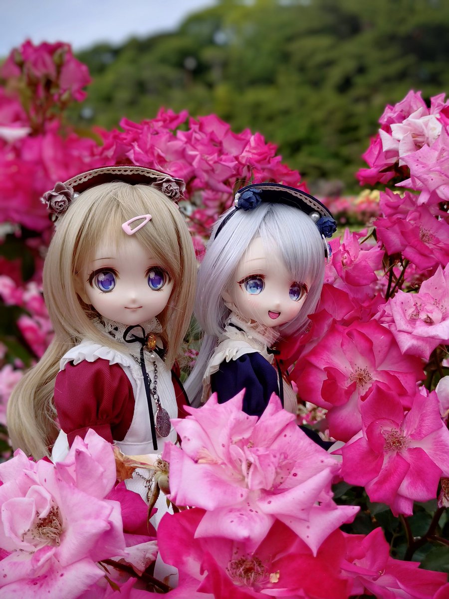 退勤。明日はゆっくりさせていただこう💮
#PlatinumStone
#りあっ娘