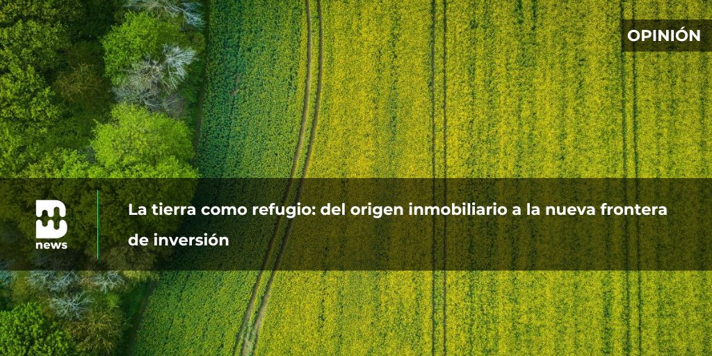 Brains Real Estate News tweet media