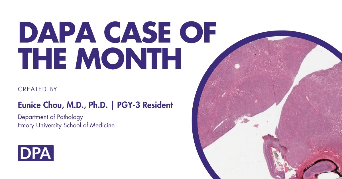 The Digital Pathology Association tweet media