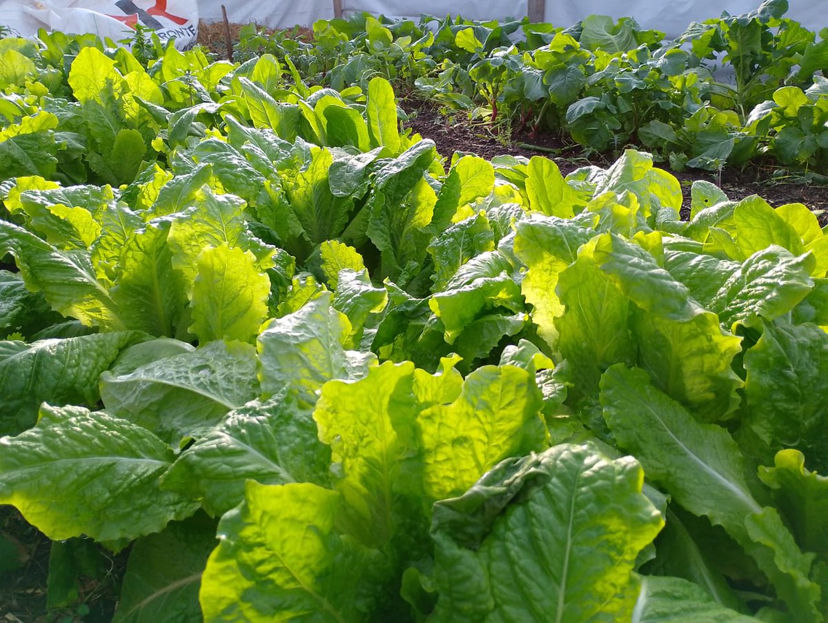 CEI Barrow (MDA - INTA) tweet media