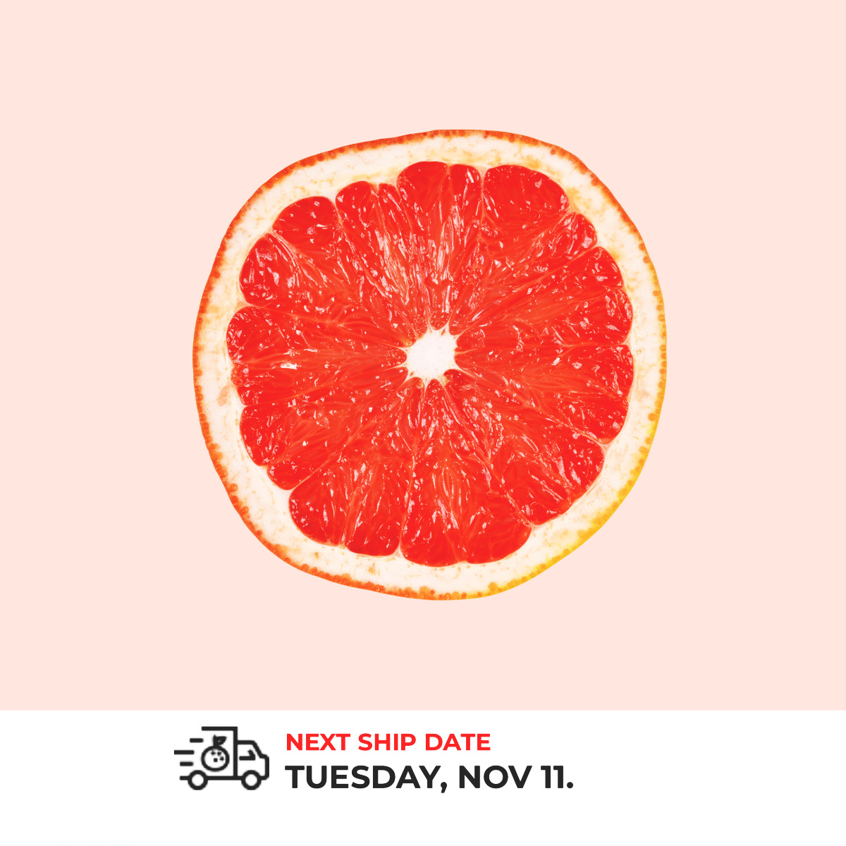 A gentle reminder of good things to come. #poinsettiagroves