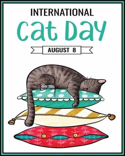 TOMORROW IS CATURDAY, BUT THIS IS SOMETHING I HAVE TO SHARE!!!