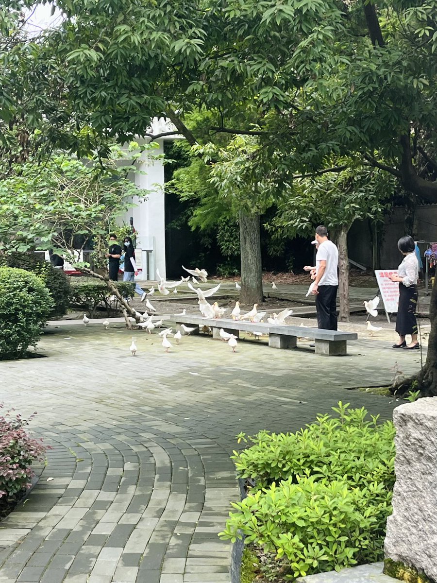 #毎日 記 録​に​値 する瞬間がある