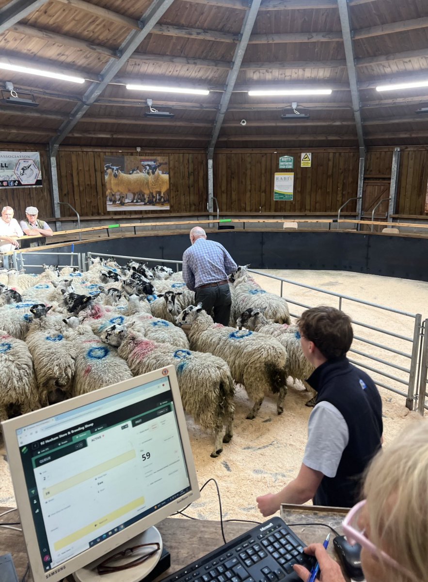 🚨 Launch Day 🚨
Studio by MartEye is LIVE!
After 2.5 years of sweat, late nights &amp; teamwork with auctioneers, clerks &amp; marts like Hexham - our new back office system is here.
⚡ Cloud-based
⚡ Real-time dashboards
⚡ No servers
🟢 marteyestudio.com
#AgriTech #AuctionTech