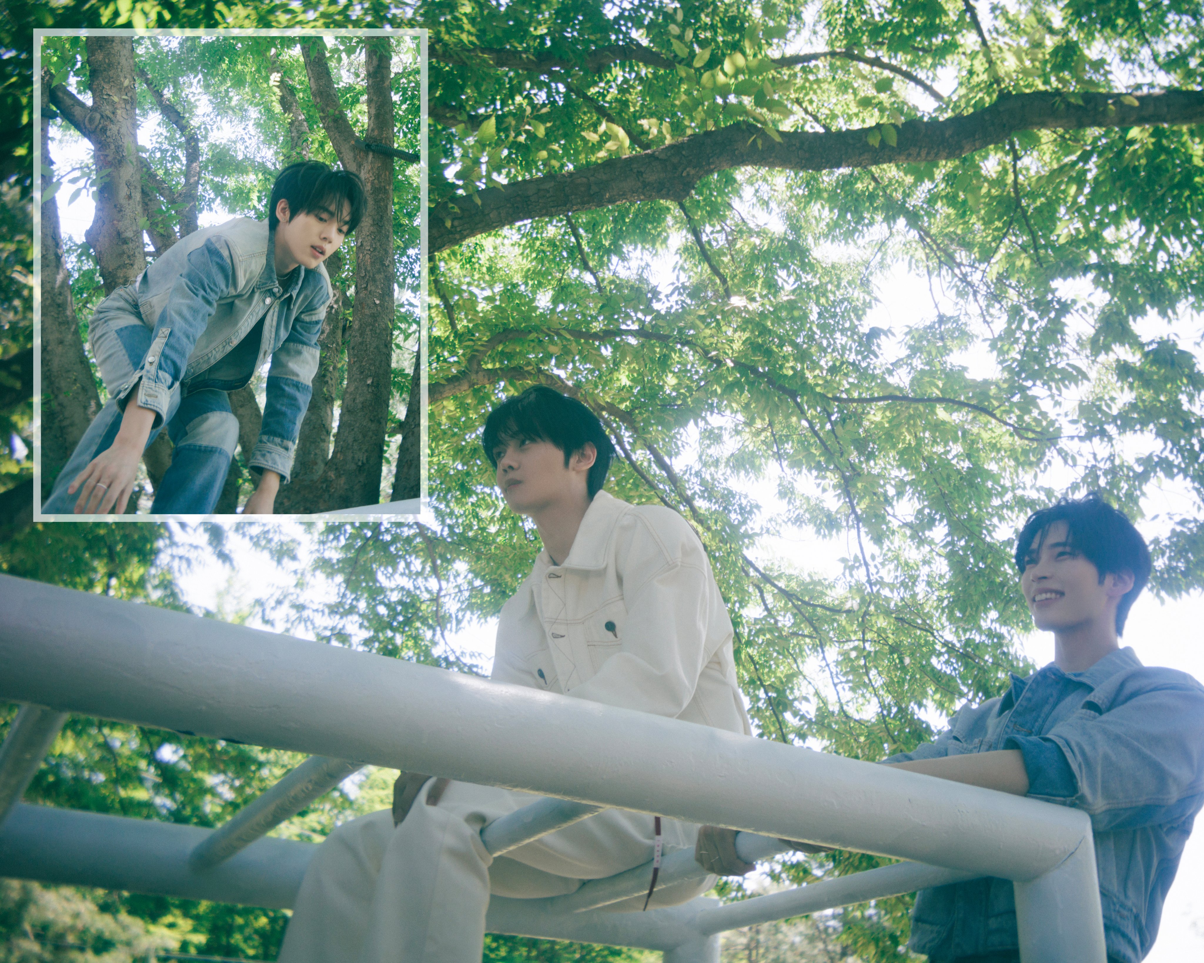 ZEROBASEONE THE 1ST FULL ALBUM ❝𝙉𝙀𝙑𝙀𝙍 𝙎𝘼𝙔 ❞ Concept Photo ORDINARY ver | 인스티즈