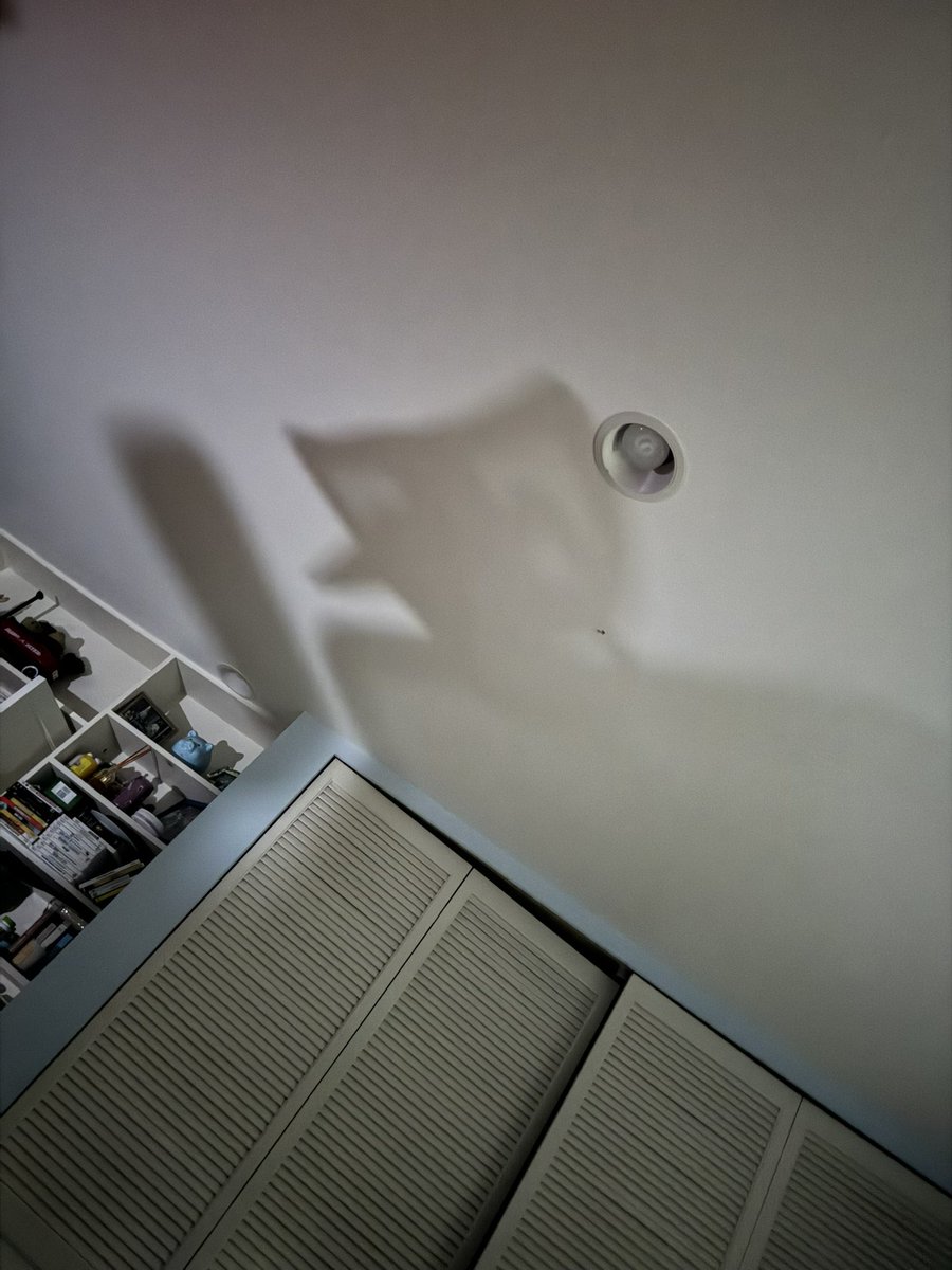 i woke up at 5:52 am and i saw him you have to believe me