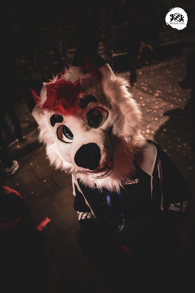 "Oh Hai!" :D

#BFD15 #FursuitFriday

🐺 Twitch
📸 <a href="/TheGermanWolf/">Stoegi</a> 

Ihr wollt uns unterstützen? Super!
Dann hier entlang, unter
bayern-furs.de/ueberuns/verei…