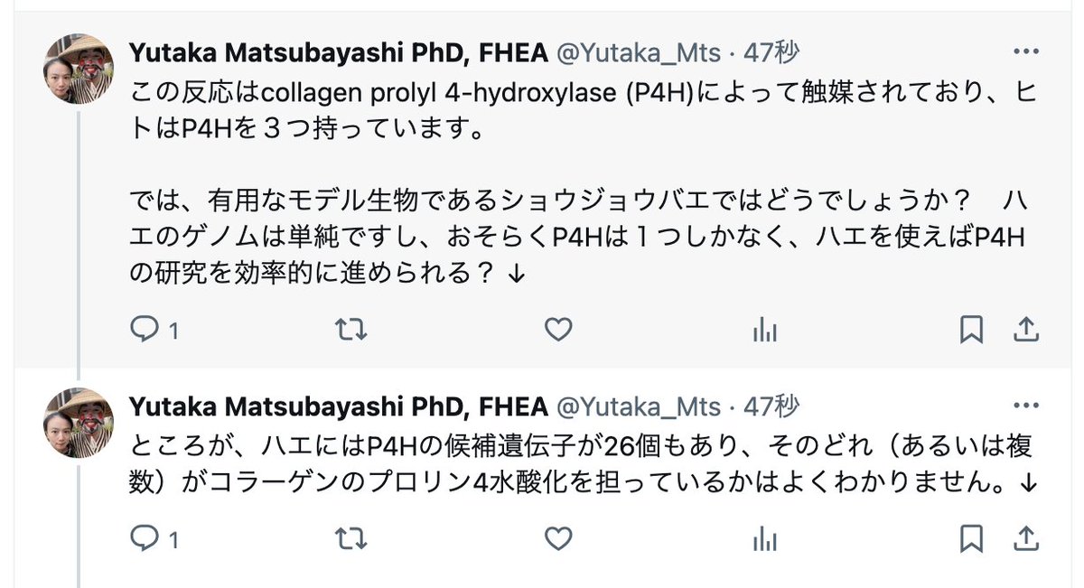 補足：この２つのポスト、ただ「P4H」と書いてしまったところ、正しくは「コラーゲンP4H」です。コラーゲン以外のタンパク質に対するP4Hも存在しますので。