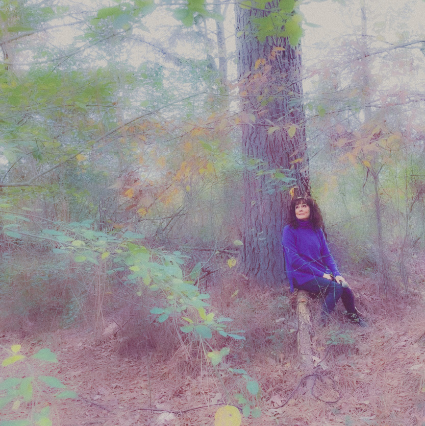 Finding Butterflies® (@_butterflymusic) on Twitter photo Dreaming of blue and autumn weather. #blue #autumn #weekendvibes #findingbutterfliesmusic Dreaming of blue and autumn weather. #blue #autumn #weekendvibes #findingbutterfliesmusic