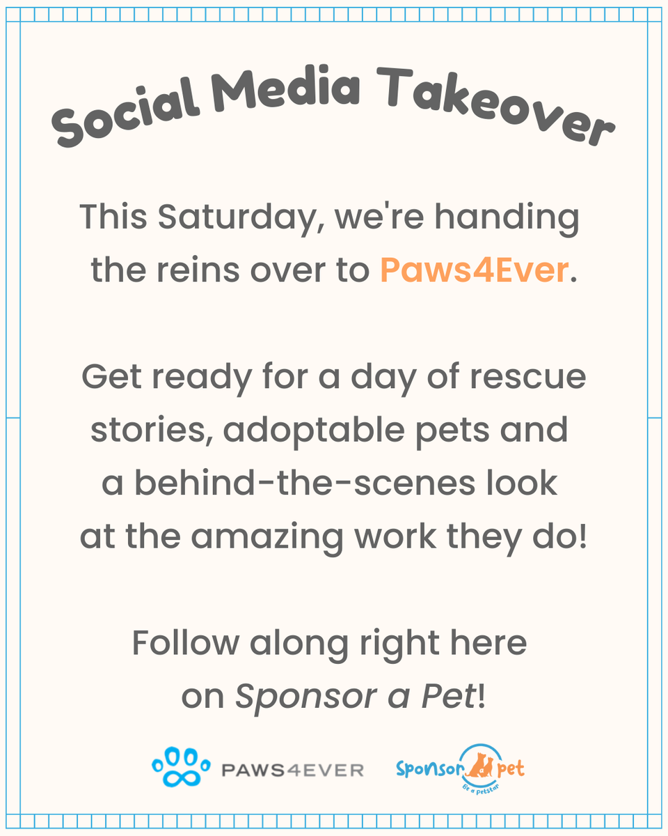 Sponsor_a_Pet's tweet photo. 🎉 BIG NEWS! 🎉
We’re handing over the keys to our social media for a special TAKEOVER! 🐾✨

Follow along as they share what makes this rescue so special — and get ready to see the world through their eyes! 💛

#Sponsorapet #SocialMediaTakeover #BehindThePaws #Paws4Ever https://t.co/APxzKNzMon