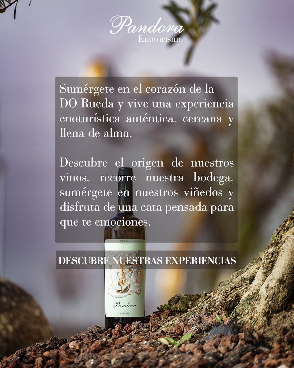 BodegasPandora's tweet photo. ¿Sabías que en Bodegas Pandora puedes elegir cómo vivir tu experiencia enológica?
🎯 Desde una visita express con cata, hasta recorridos más completos desde el viñedo, recorriendo nuestras instalaciones y disfrutando de una cata dirigida. 🔗https://t.co/cWobse34Ho https://t.co/ed7rmXB9K7