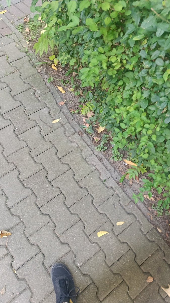 Time to touch g r a s s