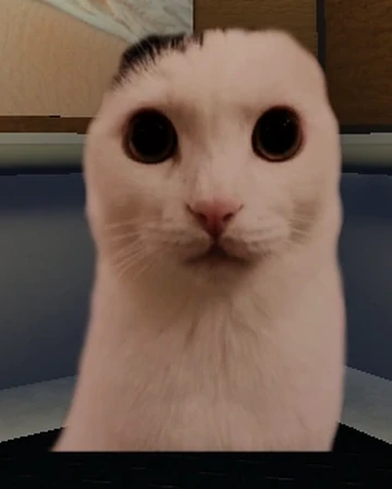 Doc š§² tweet media