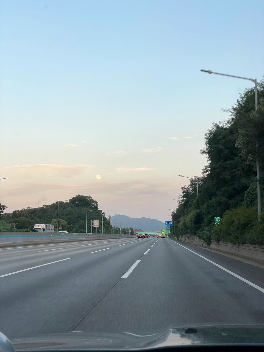 강아지와 배 타고 제주가기
저는 이번이 7번째 훼리 탑승으로 늘 목포항에서 씨월드고속훼리의 퀸제누비아(예전엔 퀸메리도, 이제 운항X)를 타고 다니는데요, 목포에서 출발하면 진도나 완도발보다는 운항 시간이 길어지는데 대신 수도권에서 접근성이 더 좋고 (경기서부 육지집에서 안막히면 3.5시간)